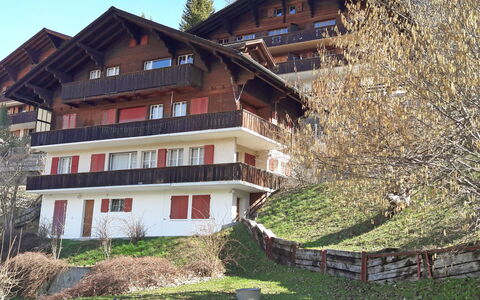 Plein Soleil: Pflanze, Gebäude, Fenster, Himmel, Baum, Gras, Haus, Steigung, Landschaft, Natürliche Landschaft