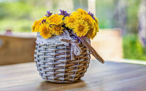 Plitvice Ii: Gelb, Blume, Schnittblumen, Vase, Blumentopf, Pflanze, Wild, Blumendesign, Strauss