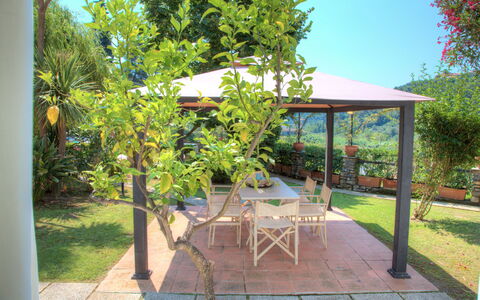 Casa Del Sole - San Bartolomeo Al Mare: Eigentum, Grundeigentum, Baum, Hinterhof, Haus, Garten, Terrasse, Gebäude, Garten, Pflanze