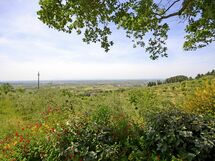 Panoramic view