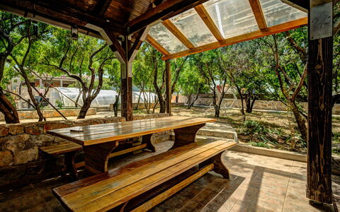 Karlobag 203: Tabelle, Pflanze, Holz, Schatten, Außenbank, Baum, Gartenmöbel, Interior Design, Picknicktisch, Landschaft
