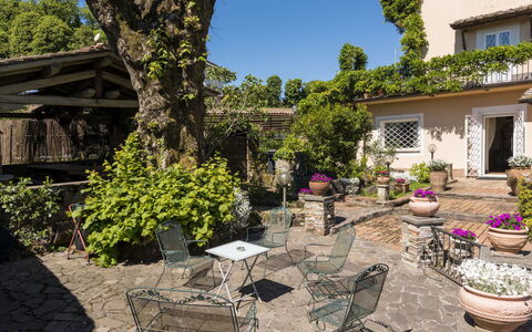 Rocca di Papa 102: Strauch, Möbel, Blumentopf, Garten, Gartenmöbel, Frühling, Stuhl, Tisch Im Freien, Schatten