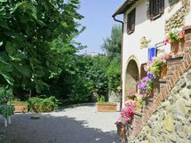 Uccellaia