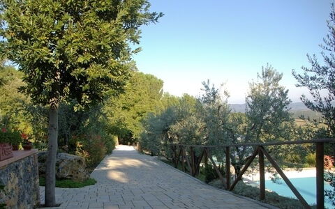 Gli Appartamenti Di Manuela: Natur, Baum, Natürliche Landschaft, Eigentum, Himmel, Walkway, Botanik, Grundeigentum, Gehölz, Landschaft