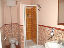 Felciaino