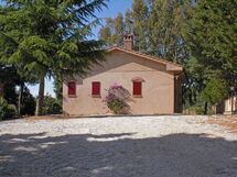Felciaino