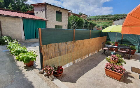 La Piccola Margherita: Eigentum, Haus, Wand, Grundeigentum, Zuhause, Hinterhof, Gebäude, Grundstueck, Landschaft, Garten