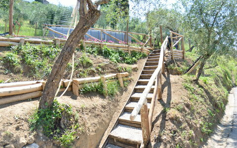 Alla Piazzetta: Baum, Botanik, Treppe, Walkway, Pflanze, Holz, Pflanzengemeinschaft, Tierwelt, Promenade, Haus