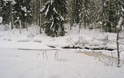 Puikkokoski: Holz, Hütte, Blockhaus, Wald, Schuppen, Gartenbauten, Lärche, Wald, Holzbeize