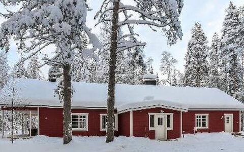 Puikkokoski: Holz, Hütte, Blockhaus, Wald, Schuppen, Gartenbauten, Lärche, Wald, Holzbeize