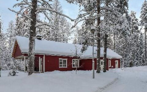 Puikkokoski: Holz, Hütte, Blockhaus, Wald, Schuppen, Gartenbauten, Lärche, Wald, Holzbeize