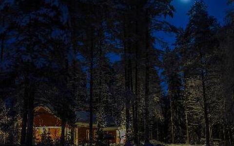 Puikkokoski: Holz, Hütte, Blockhaus, Wald, Schuppen, Gartenbauten, Lärche, Wald, Holzbeize