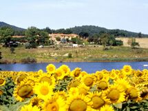 La Piccola Selva
