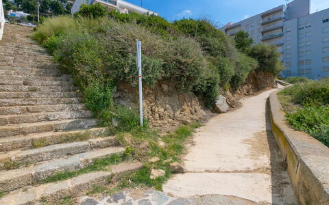 Meda Chica: Vegetation, Wand, Wohngebiet, Walkway, Nachbarschaft, Steigung, Bürgersteig, Graspflanze, Grundeigentum, Baum