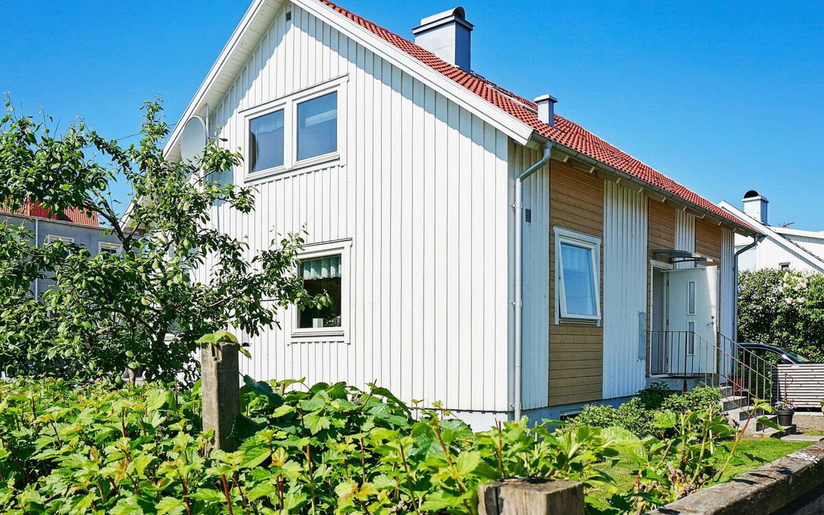 Apelviken