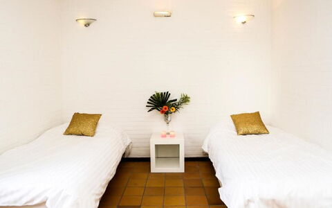 Bungalowpark Landsrade: Pflanze, Eigentum, Möbel, Komfort, Dekoration, Textil, Holz, Interior Design, Blume, Flooring