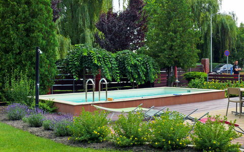 Balatonkeresztur 222: Pflanze, Blume, Baum, Vegetation, Gartenmöbel, Gras, Natürliche Landschaft, Gehölz, Brunnen, Landschaft