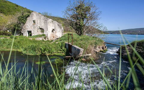 Klen 1: Gewässer, Wasser, Natürliche Landschaft, Natur, Vegetation, Gras, Bank, Wasservorräte, Küste, Meer