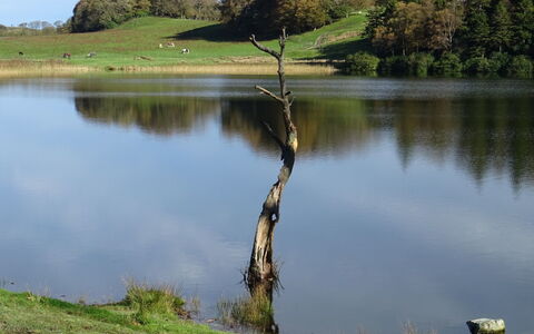 Lake District Coastal Cottage: Gewässer, Wasservorräte, Natürliche Landschaft, Wasser, See, Teich, Reservoir, Reflexion, Bank, See