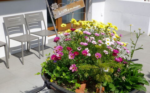 Chalet la Muntaniala: Blume, Blumentopf, Pflanze, Zimmerpflanze, Floristik, Blühende Pflanze, Jahr Plant, Garten, Strauch, Blumendesign