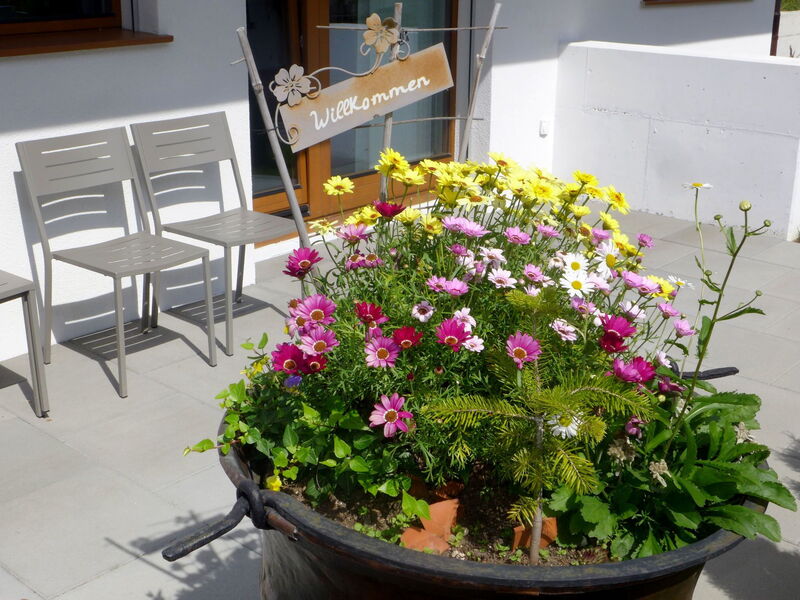 Chalet la Muntaniala