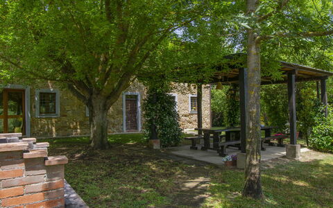 Casa dei Ciliegi: Pflanze, Fenster, Blatt, Baum, Grundstueck, Schatten, Gras, Gehölz, Tür, Natürliche Landschaft