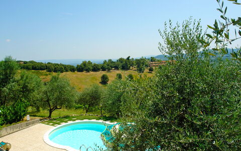 Gambassi Terme 840: Natürliche Landschaft, Schwimmbad, Vegetation, Eigentum, Naturschutzgebiet, Grundeigentum, Baum, Gras, Botanik, Haus