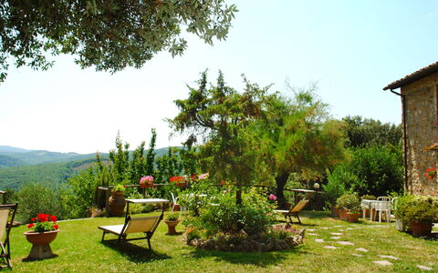 Gambassi Terme 840: Garten, Vegetation, Natürliche Landschaft, Gras, Garten, Eigentum, Baum, Grundstueck, Botanik, Hinterhof