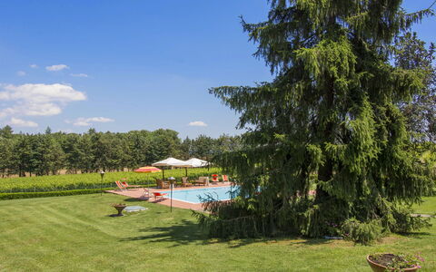 Camporbiano: Pflanze, Himmel, Wolke, Natürliche Landschaft, Baum, Grundstueck, Schatten, Gartenmöbel, Gras, Freizeit