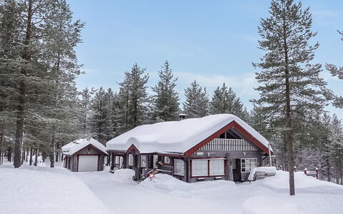 Kerkkälä: Holz, Hütte, Blockhaus, Wald, Schuppen, Gartenbauten, Lärche, Wald, Holzbeize