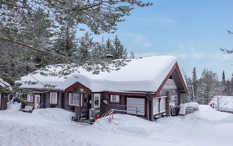 Kerkkälä: Holz, Hütte, Blockhaus, Wald, Schuppen, Gartenbauten, Lärche, Wald, Holzbeize