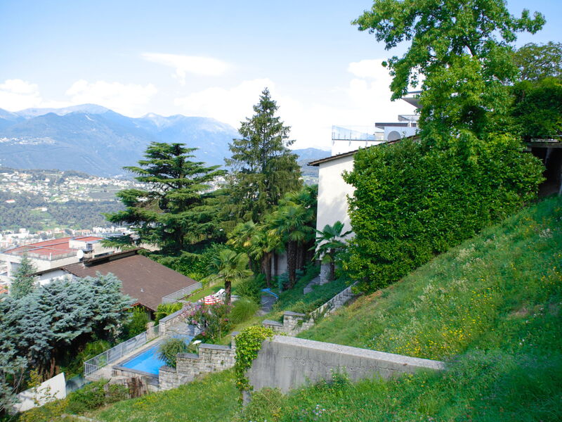 Aldesago 525