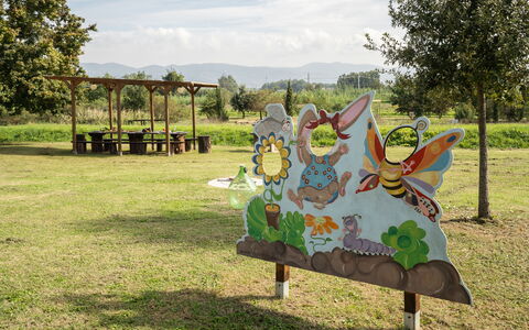 Incanto Toscano: Pflanze, Wolke, Baum, Himmel, Grundstueck, Freizeit, Kunst, Gras, Wiese, Erholung