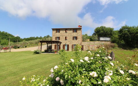 Poggio del Fabbro: Blume, Pflanze, Wolke, Gebäude, Himmel, Baum, Natürliche Landschaft, Fenster, Grundstueck, Haus