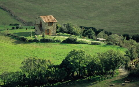 Agriturismo le Calle: Pflanze, Grün, Fenster, Natur, Natürliche Landschaft, Gebäude, Baum, Vegetation, Haus, Grundstueck
