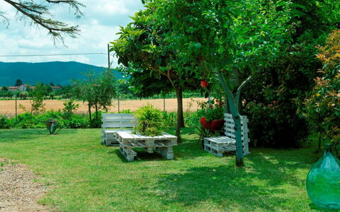 Podere i Gigli: Pflanze, Himmel, Grün, Pflanzengemeinschaft, Wolke, Baum, Außenbank, Natürliche Landschaft, Grundstueck, Gras