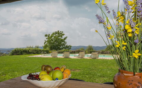 Villa la Piaggia: Gelb, Blume, Gras, Frühling, Pflanze, Blumentopf, Wiese, Wild, Landschaft, Landscaping