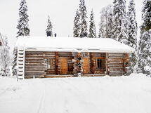 Aurinko-ruka C5