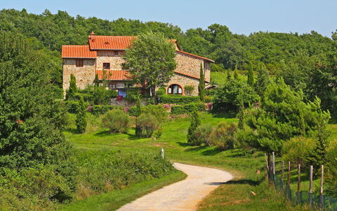 Gaiole in Chianti 880: Pflanze, Himmel, Gebäude, Natürliche Landschaft, Grundstueck, Haus, Baum, Hütte, Gras, Strauch