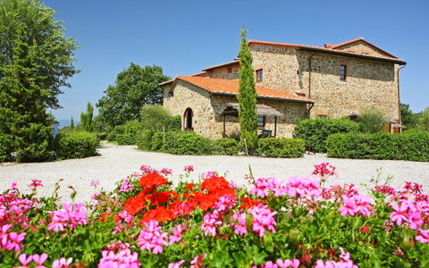 Gaiole in Chianti 880: Blume, Pflanze, Himmel, Eigentum, Fenster, Gebäude, Blütenblatt, Botanik, Haus, Baum