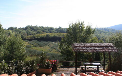 Gaiole in Chianti 880: Dach, Eigentum, Botanik, Baum, Grundeigentum, Ländliches Gebiet, Himmel, Bergstation, Haus, Garten