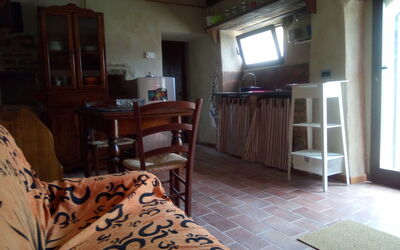 Cotoneaster: Zimmer, Eigentum, Fussboden, Möbel, Gebäude, Interior Design, Haus, Hartholz, Zuhause, Grundeigentum