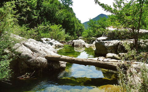 Il Casale: Gewässer, Wasservorräte, Natürliche Landschaft, Auwald, Naturschutzgebiet, Wasserlauf, Natur, Vegetation, Strom, Wasser