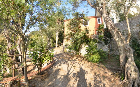 Collina Lagomare: Eigentum, Baum, Grundeigentum, Haus, Strasse, Pflanze, Gebäude, Pflanzengemeinschaft, Landschaft, Estate
