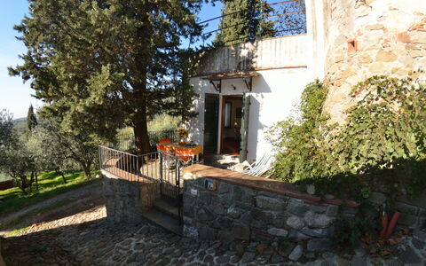 La Cipressa: Eigentum, Haus, Gebäude, Hütte, Grundeigentum, Baum, Estate, Die Architektur, Zuhause, Villa