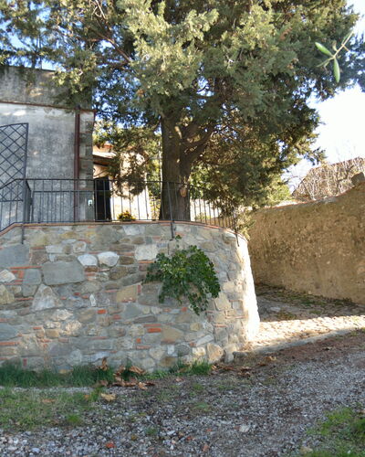 La Cipressa