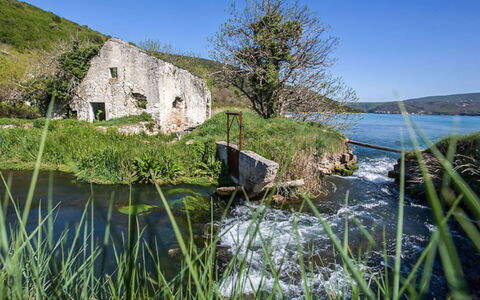 Klen 2: Gewässer, Wasser, Natürliche Landschaft, Natur, Vegetation, Grün, Gras, Küste, Meer, Bank