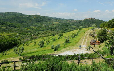 Podere dei Venti
