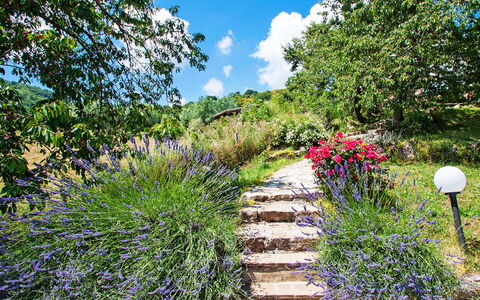 Arcidosso 800: Garten, Vegetation, Walkway, Blume, Botanischer Garten, Pflanze, Natürliche Landschaft, Naturschutzgebiet, Botanik, Gras