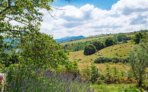 Arcidosso 800: Natürliche Landschaft, Natur, Vegetation, Naturschutzgebiet, Natürlichen Umgebung, Wildnis, Baum, Hügel, Himmel, Wiese